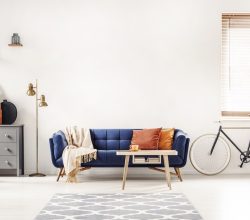 The Top 5 Most Livable Austin Neighbourhoods