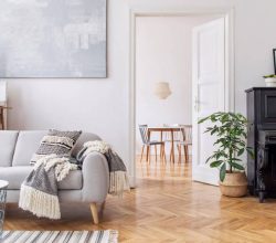 Top 10 Best Appreciating Condos in Austin