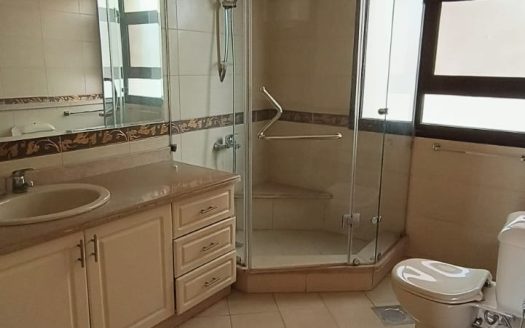 Degla Maadi, penthouse 4 bedrooms semi-furnished for rent