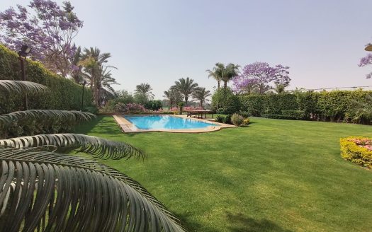 Katameya Dunes