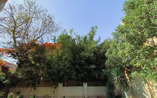 Degla Maadi