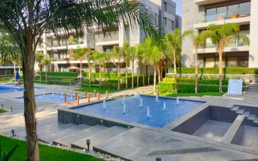 New Cairo El Patio 7