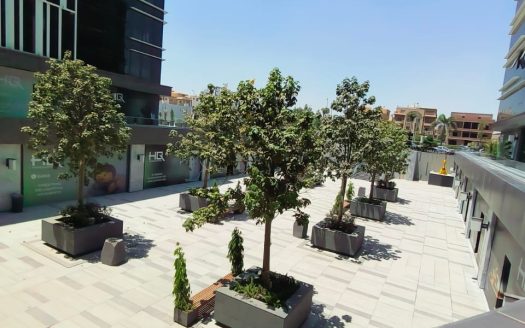 New Cairo office space