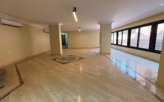 Degla Maadi office space