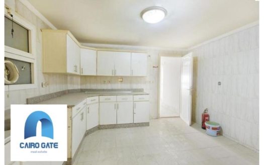 Maadi Nile office space