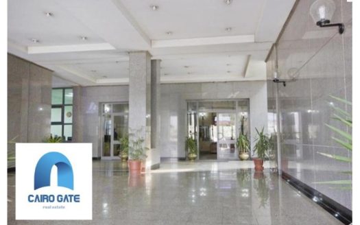 Maadi Nile office space