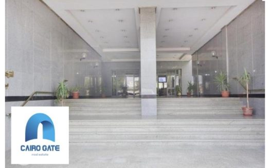 Maadi Nile office space