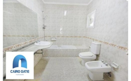 Maadi Nile office space