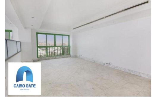 Maadi Nile office space