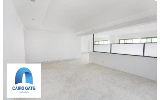 Maadi Nile office space