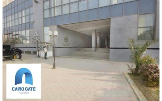 Maadi Nile office space