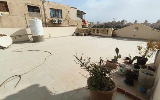 New Cairo 1 settlement